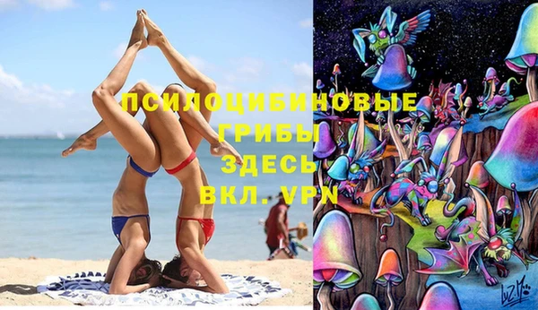 альфа пвп Горно-Алтайск